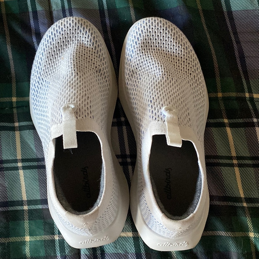 All birds tree dasher 8